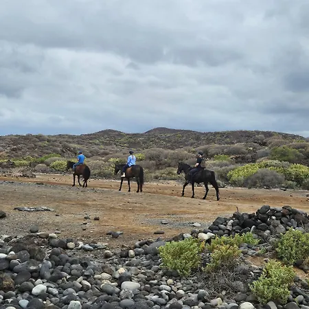 Sunny דירה סן מיגל דה אבונה