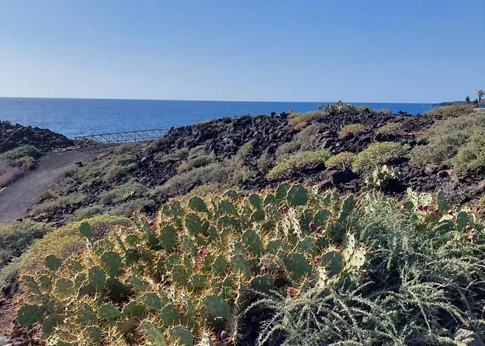 Sunny * 산미겔데아보나