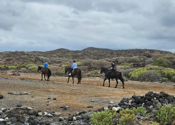 Sunny Apartment San Miguel de Abona